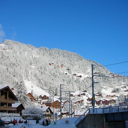 Hostel Backpacker Le Petit Baroudeur Champéry Exterior foto